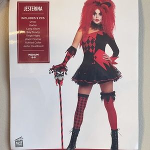 Dark Jester Clown Halloween Costume